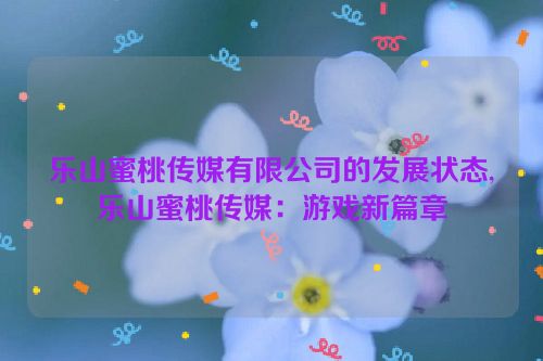 乐山蜜桃传媒有限公司的发展状态,乐山蜜桃传媒：游戏新篇章