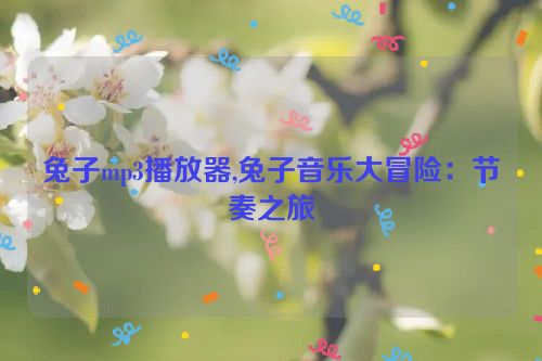 兔子mp3播放器,兔子音乐大冒险：节奏之旅